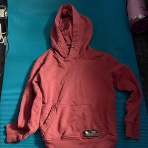 Abercrombie Kids Pink Hoodie
